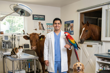 Why Do Recently Graduated Veterinarians Need Disability Insurance?