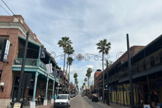 Car Maintenance Checklist for Sarasota, Florida: Small Checks That Help Prevent Big Repairs